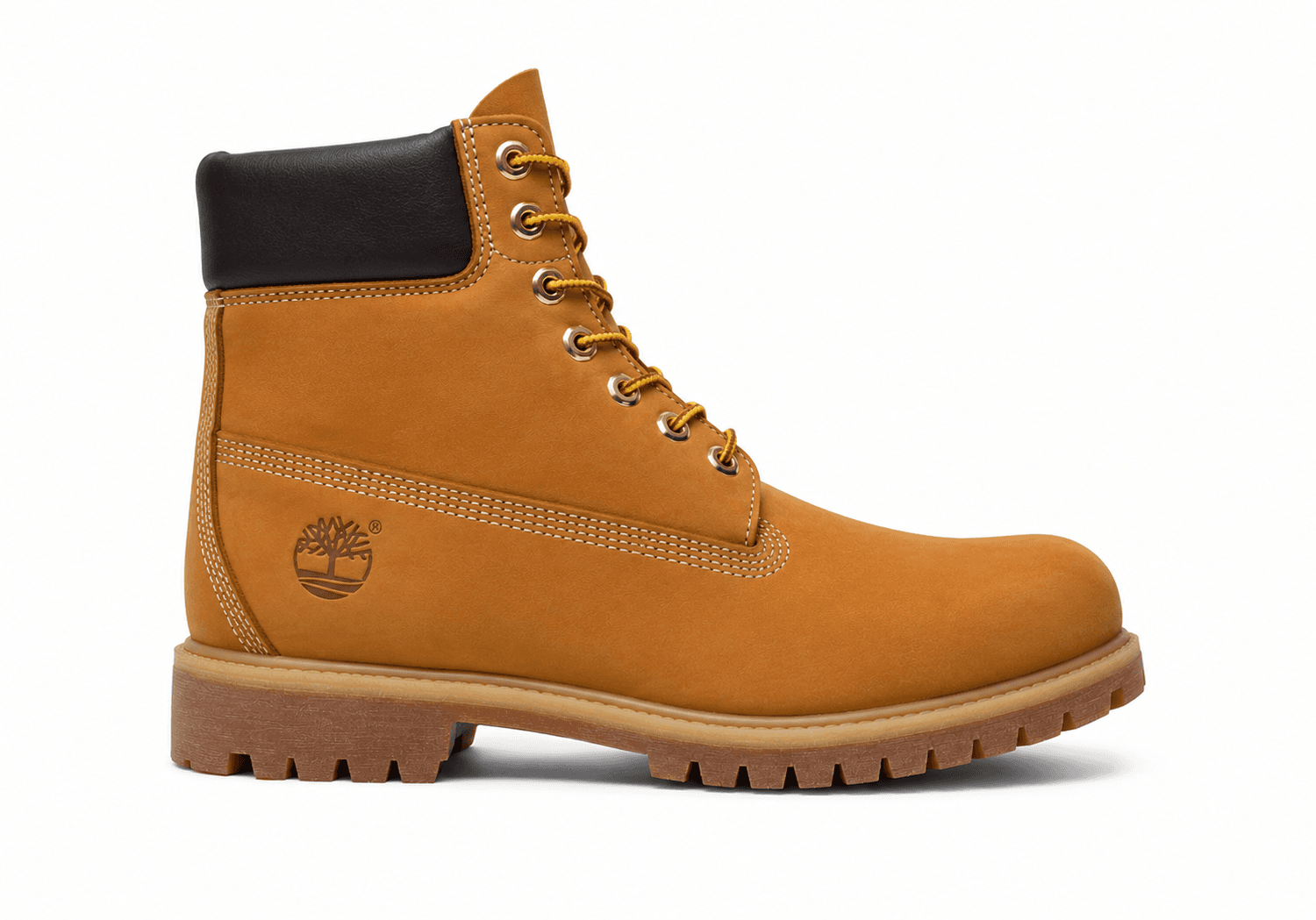 Chaussure propre apres nettoyage